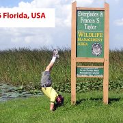 2006 USA Florida Everglades